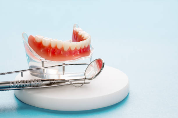 Professional Dental Services in Constantine, MI